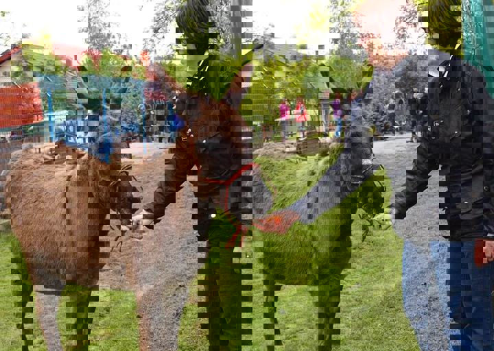 16_05150172.jpg