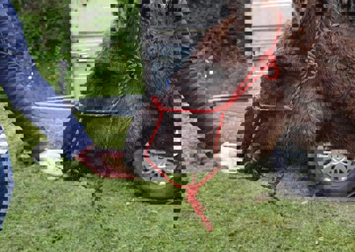 16_05150173.jpg
