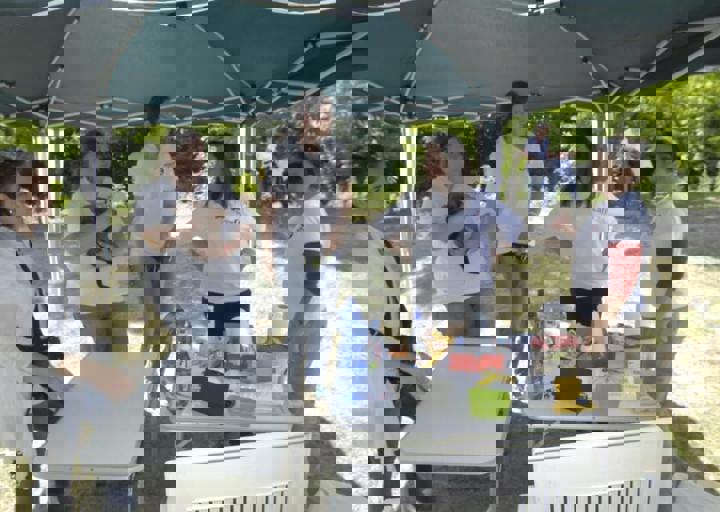 _BZS2556.JPG