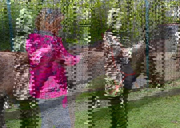 16_05150174.jpg