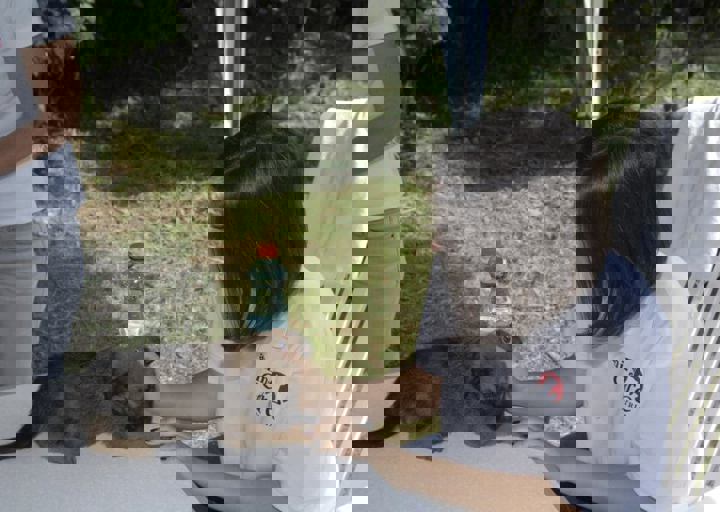 _BZS2558.JPG