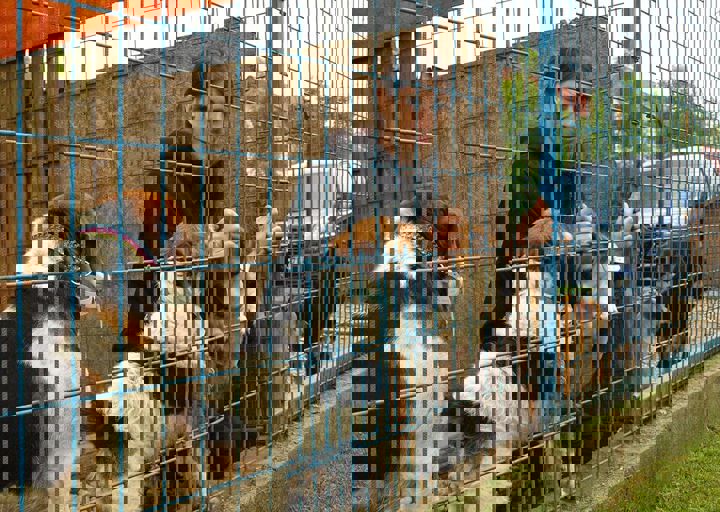16_05150186.jpg