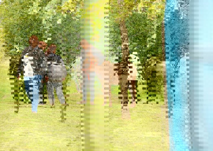 16_05150187.jpg