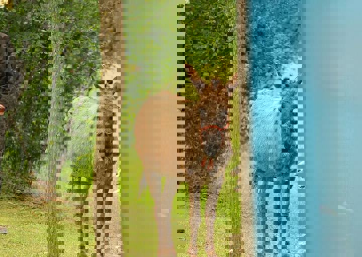 16_05150188.jpg