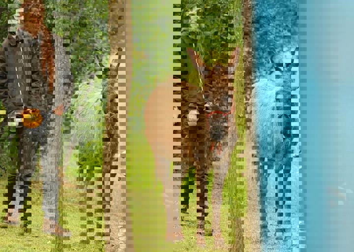 16_05150189.jpg
