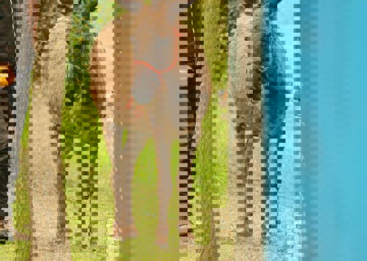 16_05150190.jpg