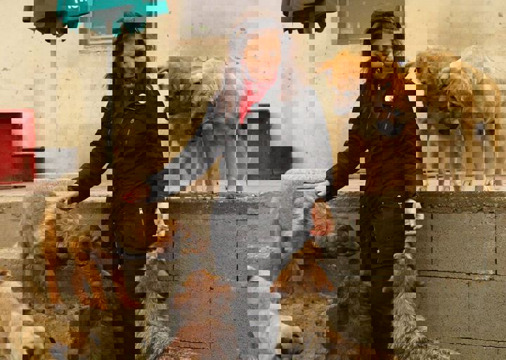 16_05150193.jpg