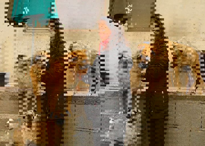 16_05150196.jpg