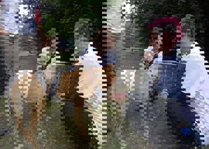 _BZS2580.JPG