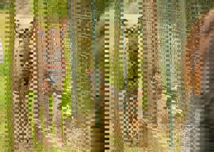 16_05150197.jpg