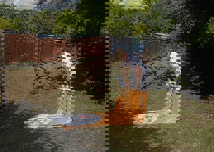 _BZS2581.JPG