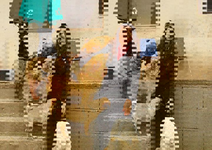 16_05150198.jpg