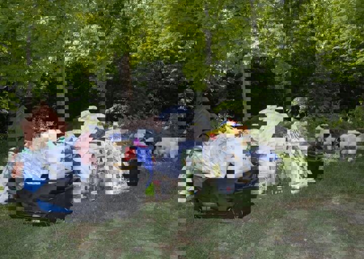 _BZS2582.JPG