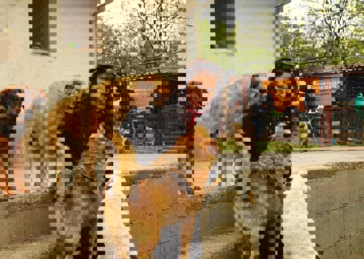 16_05150199.jpg