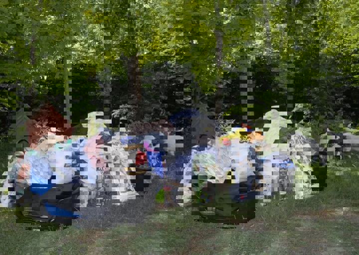 _BZS2583.JPG