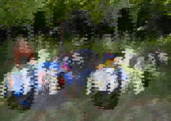 _BZS2584.JPG