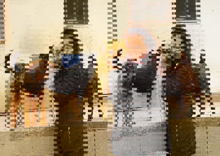 16_05150203.jpg