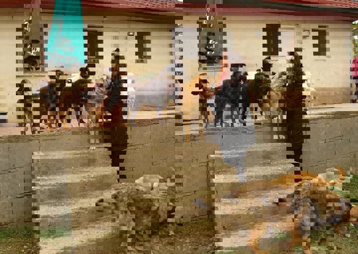 16_05150206.jpg
