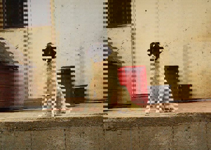 16_05150208.jpg