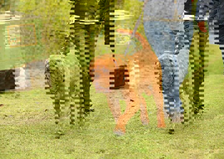 16_05150212.jpg