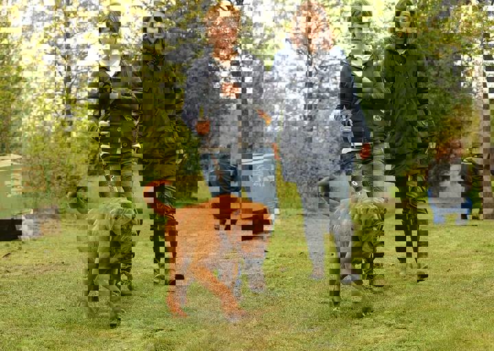 16_05150213.jpg