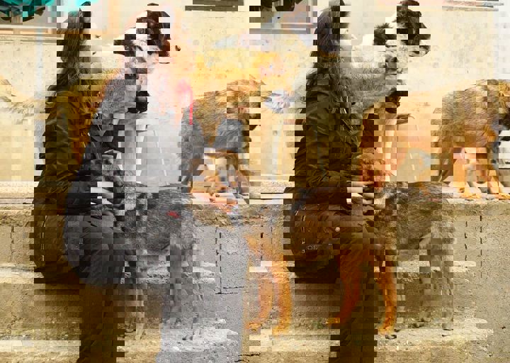 16_05150216.jpg