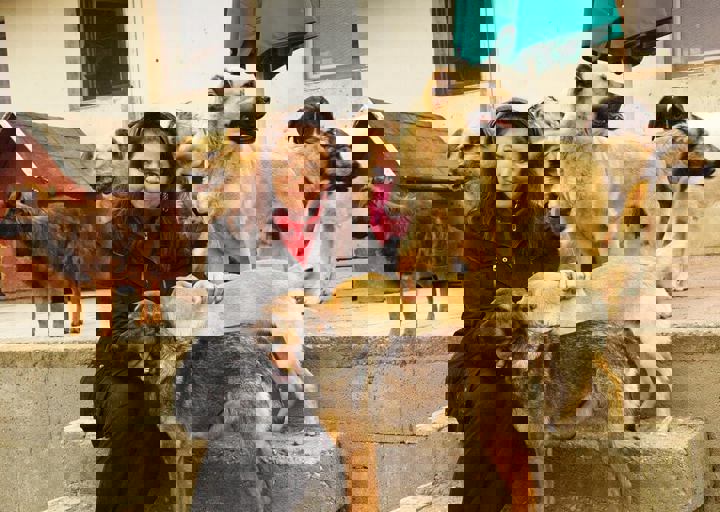 16_05150220.jpg