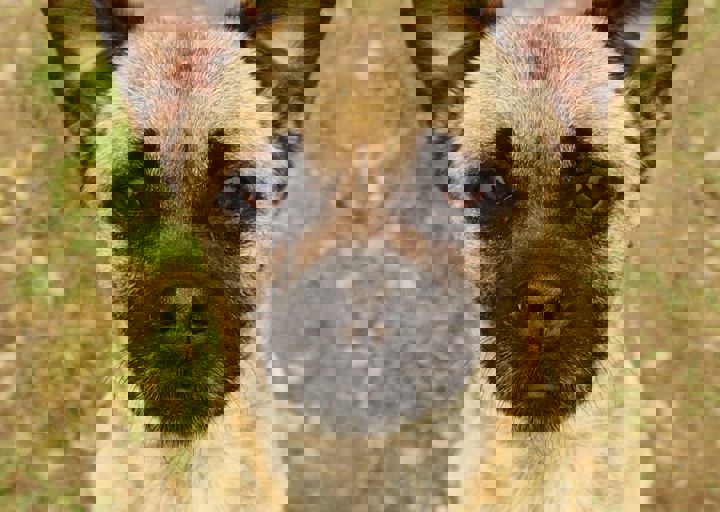 16_05150221.jpg