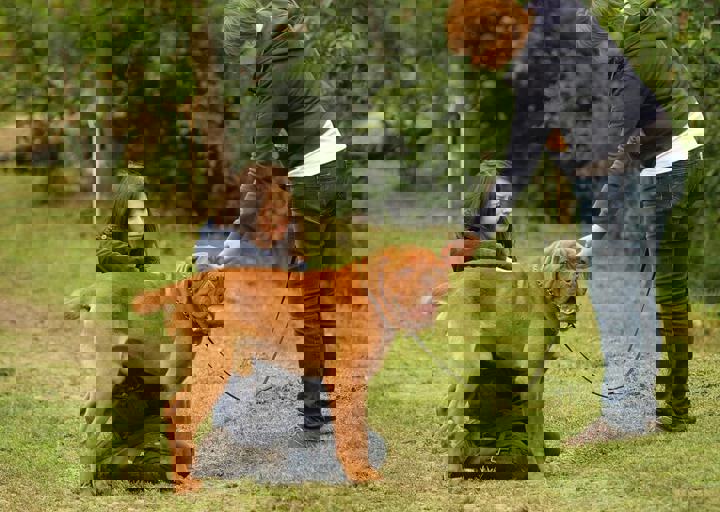 16_05150229.jpg