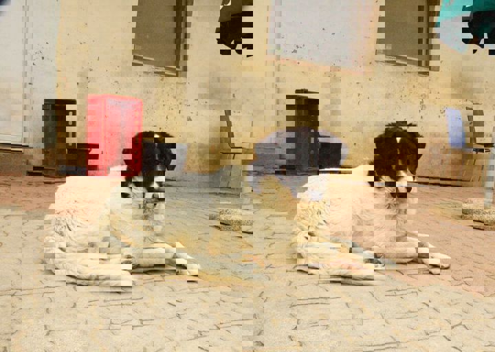 16_05150232.jpg