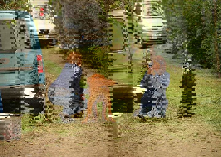 16_05150233.jpg