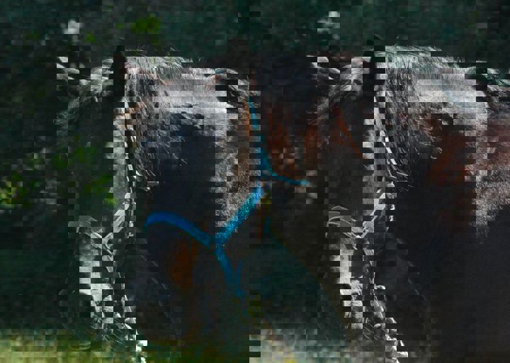 DSC_1599.JPG