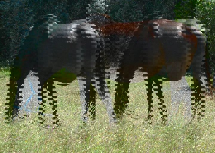 DSC_1600.JPG