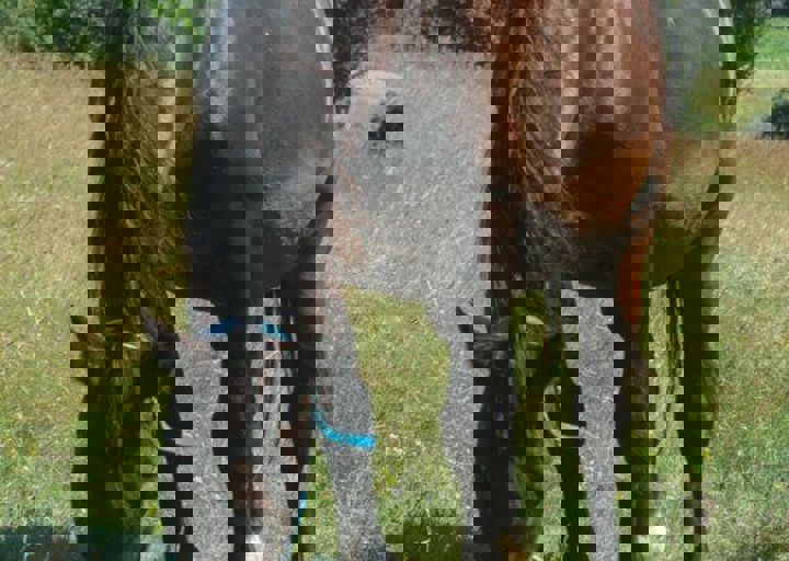 DSC_1601.JPG