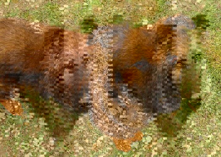 16_05150242.jpg