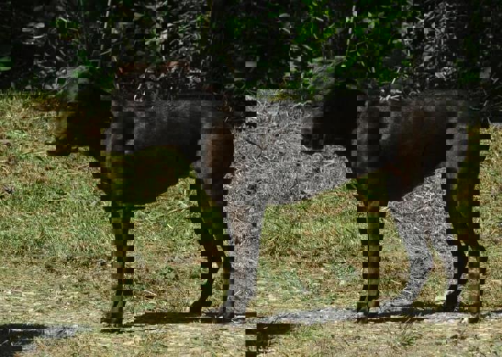 DSC_1606.JPG