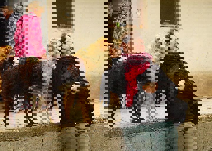 16_05150243.jpg