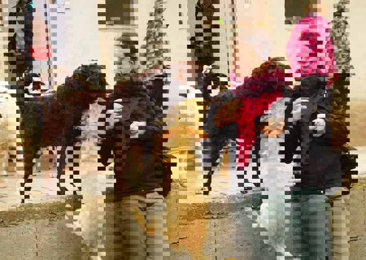 16_05150245.jpg