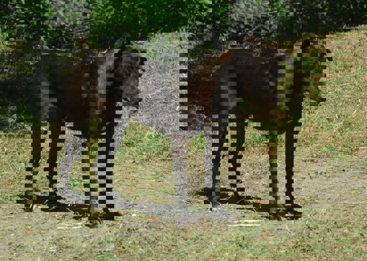 DSC_1608.JPG