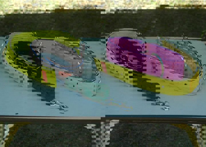 DSC_1611.JPG