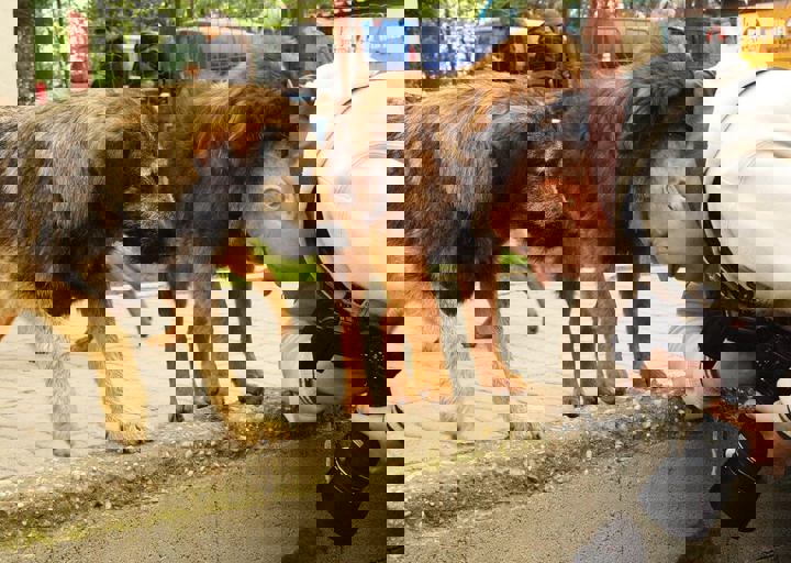 16_05150251.jpg