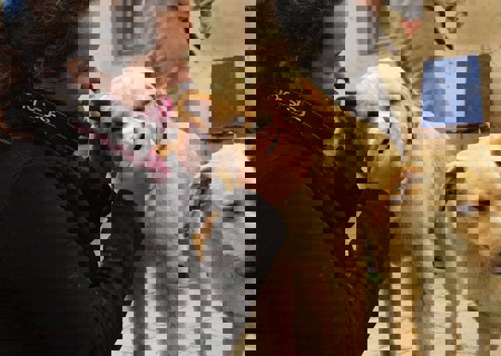 16_05150255.jpg