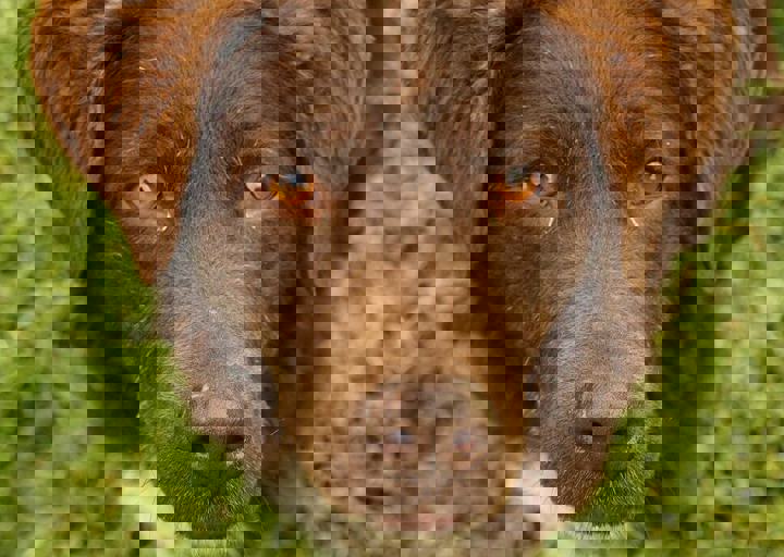 16_05150260.jpg