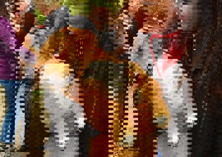 16_05150279.jpg