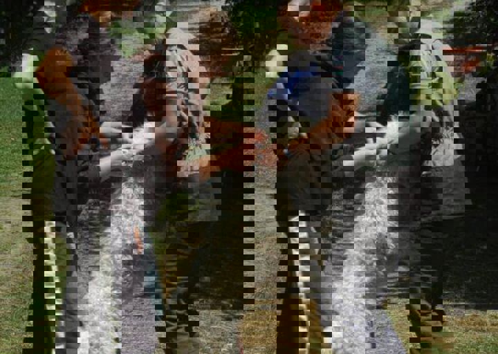 DSC_1639.JPG