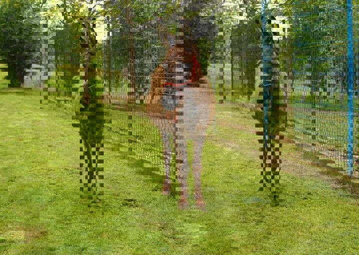 16_05150282.jpg
