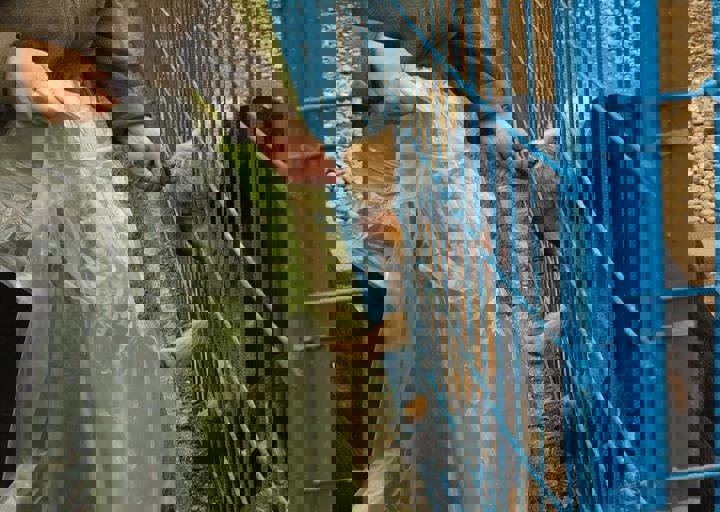 16_05150284.jpg
