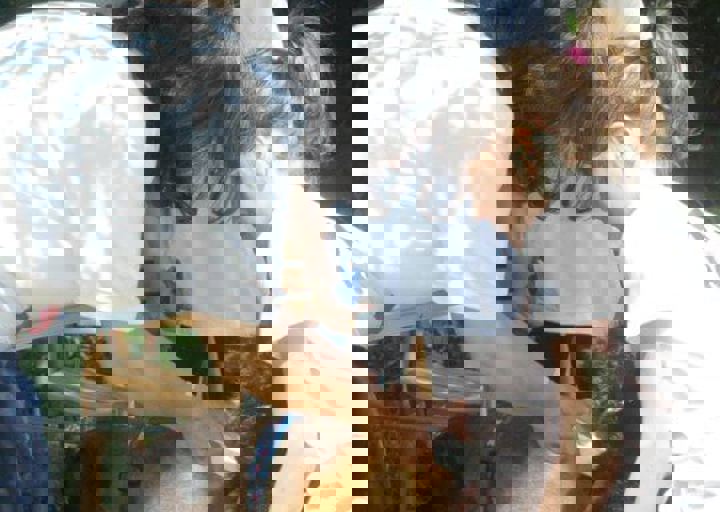 DSC_1649.JPG