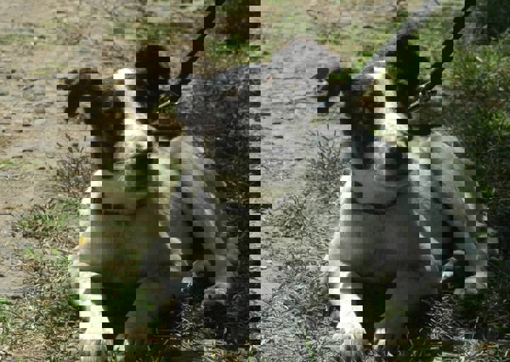DSC_1663.JPG