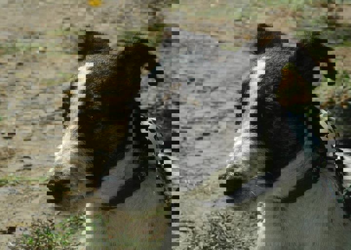 DSC_1665.JPG